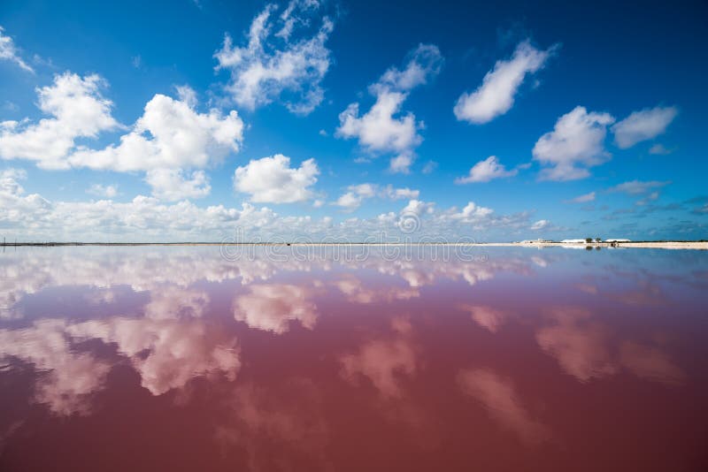 Image of Salt pink lagoon in Las Coloradas, Yucatan, Mexico. Image of Salt pink lagoon in Las Coloradas, Yucatan, Mexico