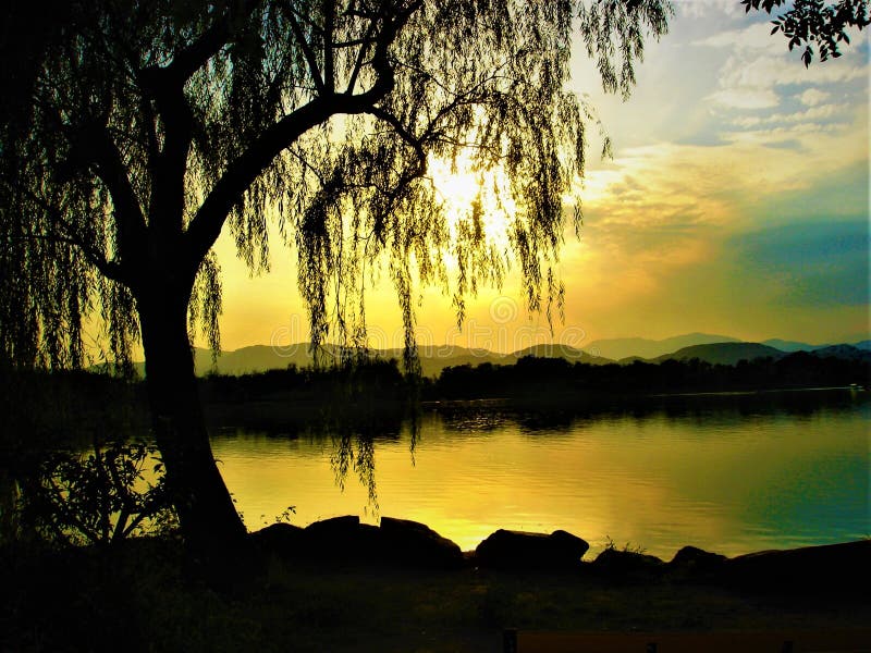 Salgueiro chorando, lago, luminescência, desaparecimento e cores fotografia de stock Salgueiro chorando, lago, luminescência, desaparecimento e cores fotografia de stock