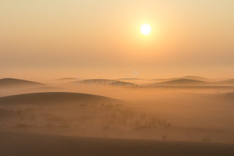 Salida del sol de niebla de la mañana del invierno en el desierto Dubai, UAE foto de archivo libre de regalías Salida del sol de niebla de la mañana del invierno en el desierto Dubai, UAE foto de archivo libre de regalías
