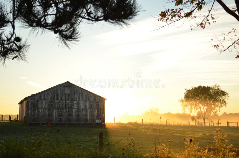 Salida del sol detrás de un granero en una mañana de niebla fotografía de archivo libre de regalías Salida del sol detrás de un granero en una mañana de niebla fotografía de archivo libre de regalías