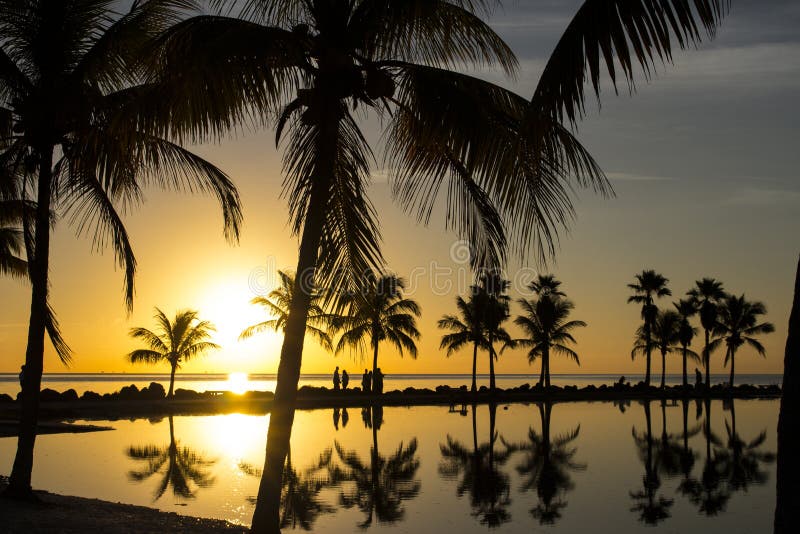 Salida del sol en Miami imagen de archivo. Imagen de claro - 49277933