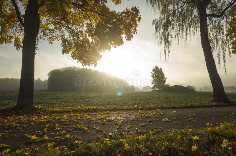 Salida del sol hermosa en la mañana del otoño en Suecia Escandinavia imágenes de archivo libres de regalías Salida del sol hermosa en la mañana del otoño en Suecia Escandinavia imágenes de archivo libres de regalías