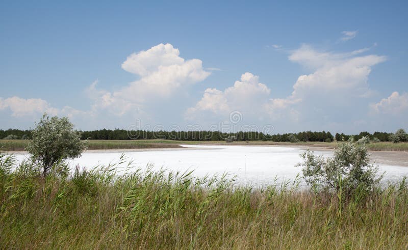 Saline lake, Kinburn Spit, Ukraine