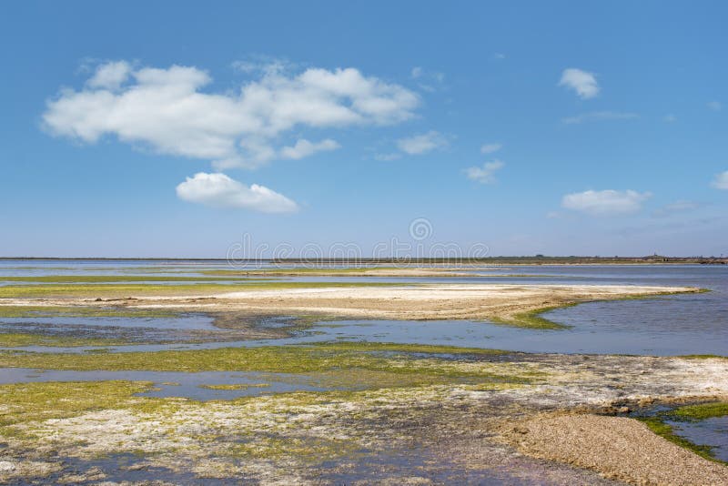 Saline of the lake stock image. Image of prairie, rainless 55742623