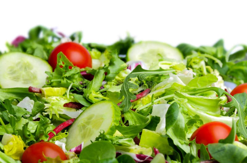 sallad royaltyfri foto