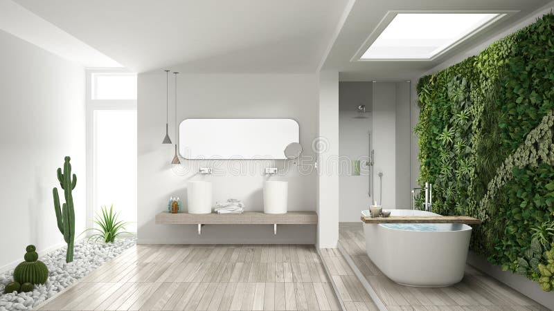 Salle de bains blanche minimaliste avec le jardin vertical et succulent, OE photos libres de droits