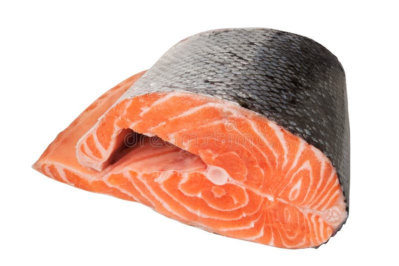 Salmon