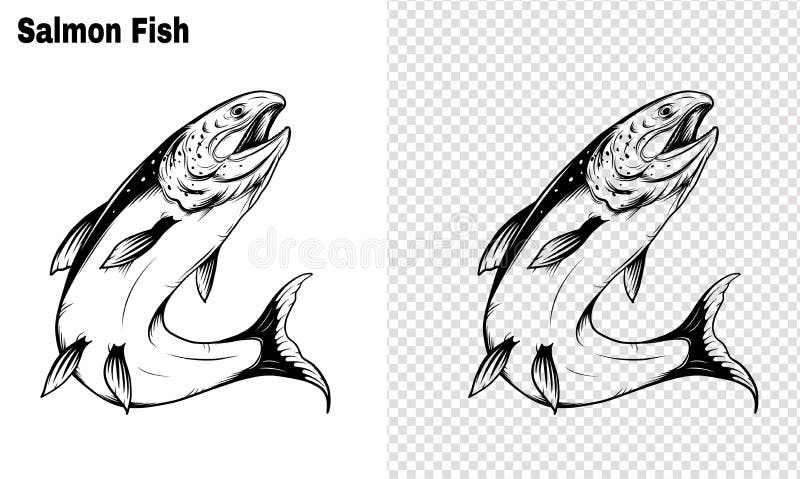 Salmon Art Highly Detailed in Line Art Style.Fish Vector by Hand