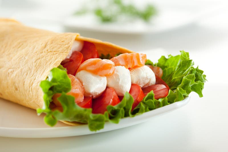 Salmon Burrito stock photo. Image of burrito, burritos 45073192