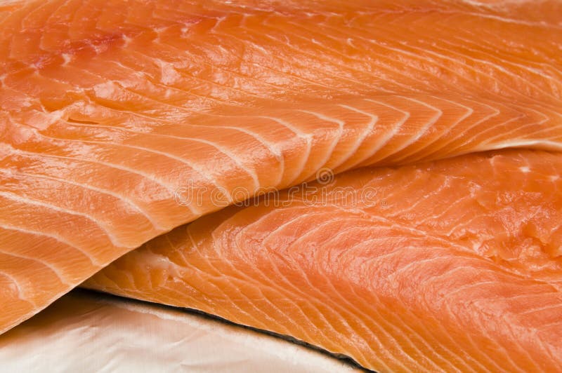 Salmon Fillet stock image. Image of fillet, dish, fish 29392527