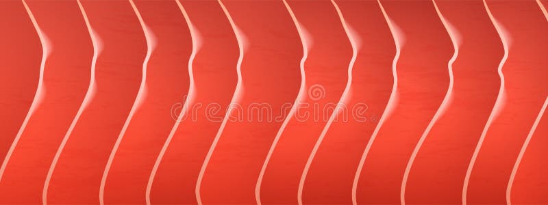 Salmon Fillet Texture, Red Fish Meat Pattern Stock Vector