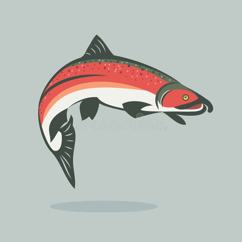 Salmon Stock Illustrations – 128,820 Salmon Stock Illustrations, Vectors &  Clipart - Dreamstime