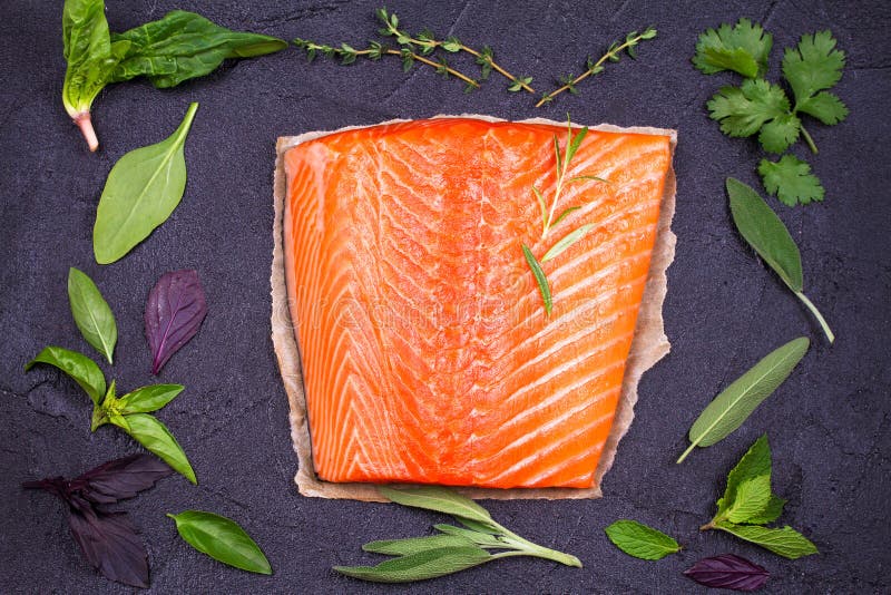Salmon Fish Fillet fotografering för bildbyråer Salmon Fish Fillet fotografering för bildbyråer