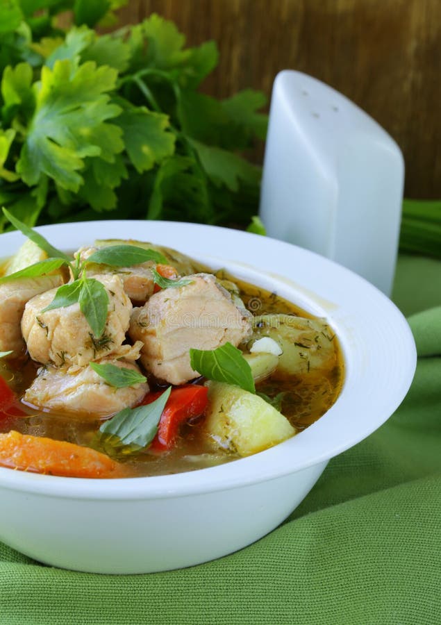 Salmon fish stew stock image. Image of cuisine, spice 31050301