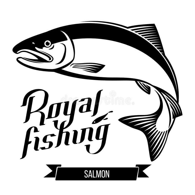 Salmon Fish Vector Illustration Stock Vector Illustration of