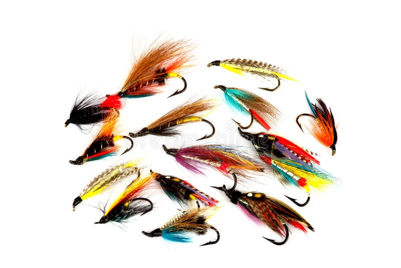 A Selection of Traditional Salmon Fishing Flies Isolated on a White Background. A Selection of Traditional Salmon Fishing Flies Isolated on a White Background