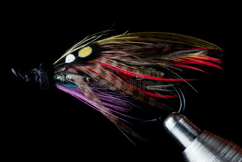 Salmon Fishing Fly op Vlieg Bindende Bankschroef op Zwarte Achtergrond stock foto Salmon Fishing Fly op Vlieg Bindende Bankschroef op Zwarte Achtergrond stock foto