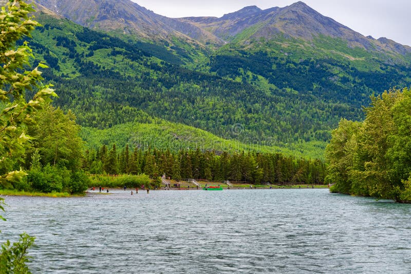 Salmon Fishing på den ryska floden i Alaska royaltyfri foto Salmon Fishing på den ryska floden i Alaska royaltyfri foto