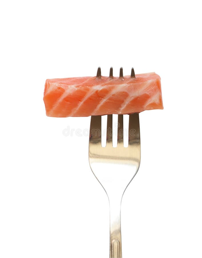 Salmon On The Fork