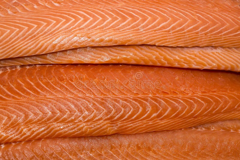 Salmon