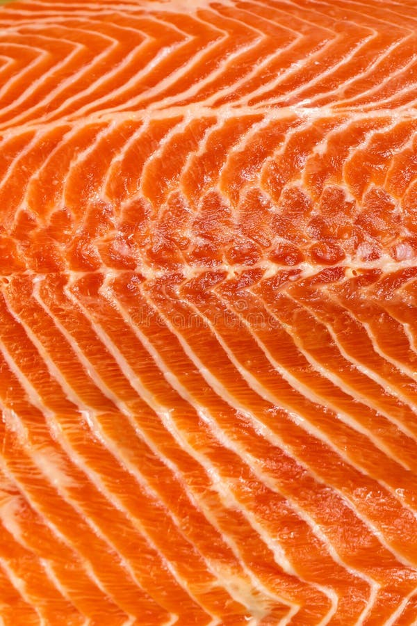 Salmon. Abstract, delicious.