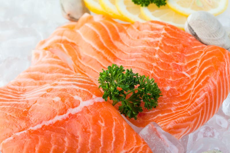 Salmon on ice stock images Salmon on ice stock images