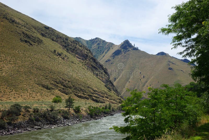 Salmon River at Riggins, Idaho Stock Photo Image of landscape, bank