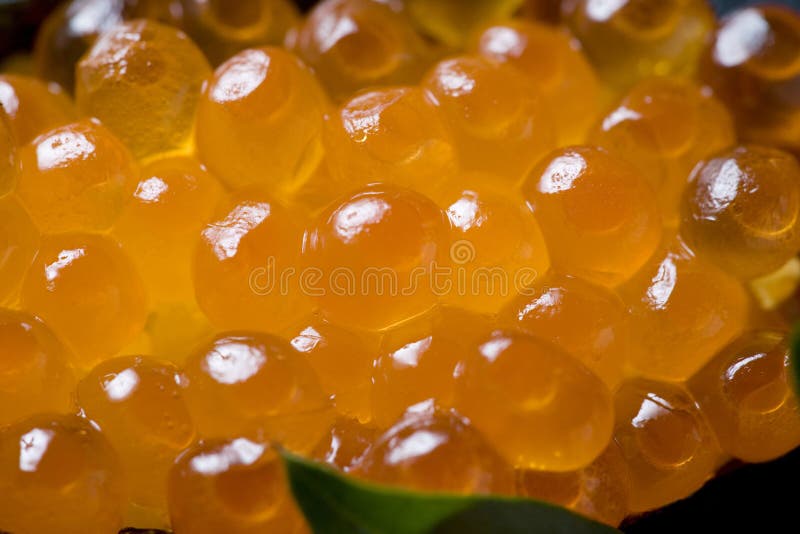 Salmon roe roll stock image. Image of food, rolled, roll 10144891