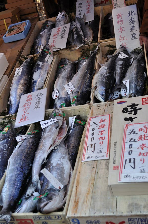 Salmon on Sale in the Fish Market Editorial Stock Photo Image of sale