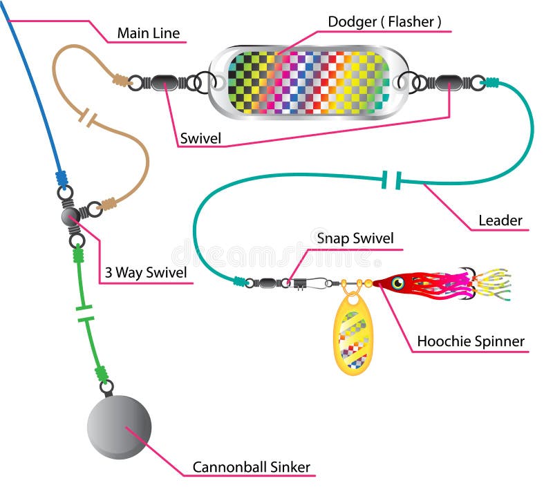 https://thumbs.dreamstime.com/b/salmon-saltwater-trolling-rig-flasher-spinner-hoo-hoochie-diagram-vector-outdoor-sports-72049090.jpg