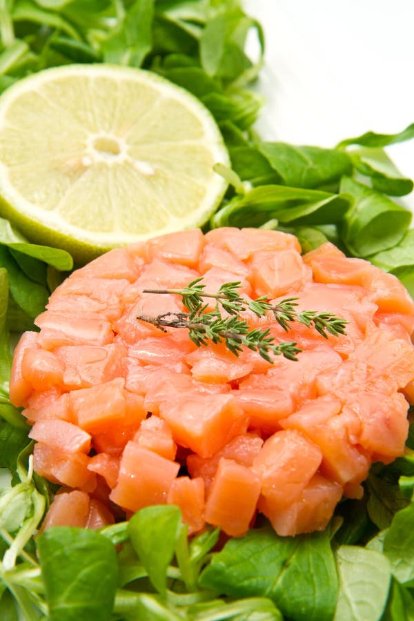 Salmon tartare stock photo. Image of nutrition, rocket 25497630