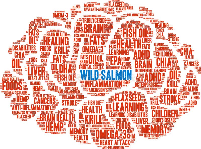 Salmon Word Cloud Selvaggio Illustrazione Vettoriale Illustrazione di