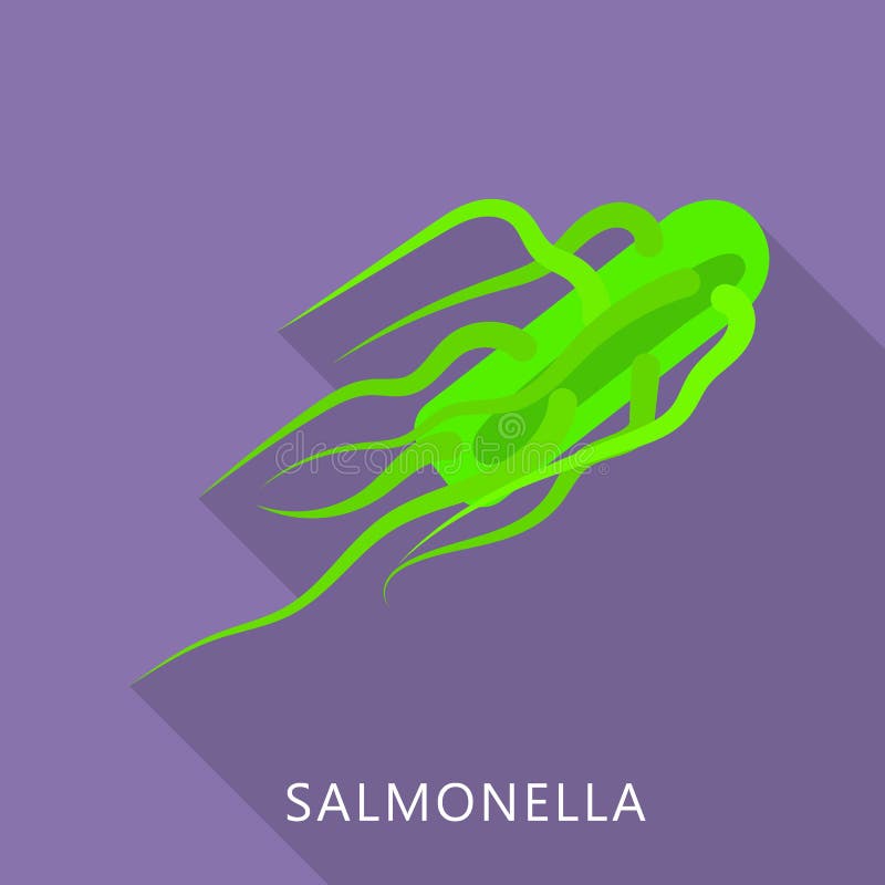 Salmonellasymbol, lägenhetstil vektor illustrationer Salmonellasymbol, lägenhetstil vektor illustrationer