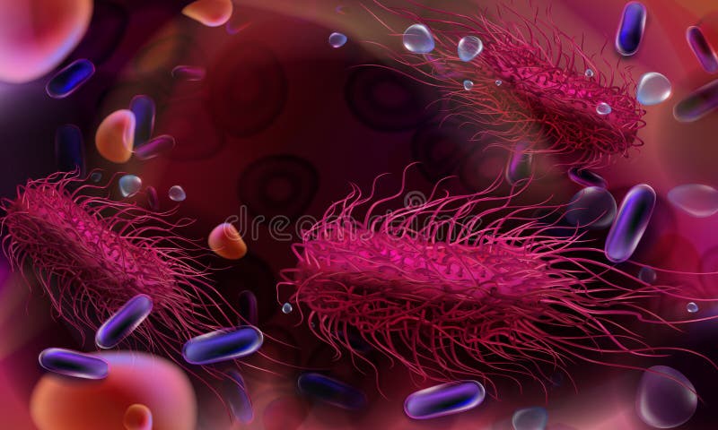 Salmonelles de bactéries de SNn et bactéries en forme de tige image libre de droits Salmonelles de bactéries de SNn et bactéries en forme de tige image libre de droits