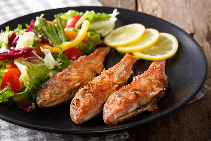 Salmonete vermelho dos peixes deliciosos com fim-u vegetal da salada da mistura fresca fotos de stock Salmonete vermelho dos peixes deliciosos com fim-u vegetal da salada da mistura fresca fotos de stock