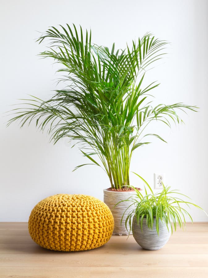 Salon avec les plantes d'intérieur et le pouf image libre de droits Salon avec les plantes d'intérieur et le pouf image libre de droits
