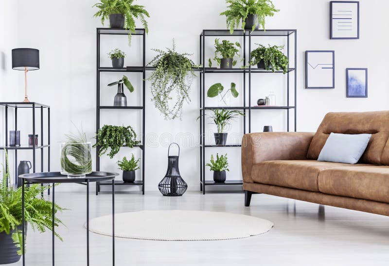 Salone bianco spazioso con la giungla urbana sullo scaffale nero del metallo e sullo strato di cuoio marrone del briciolo fotografie stock libere da diritti
