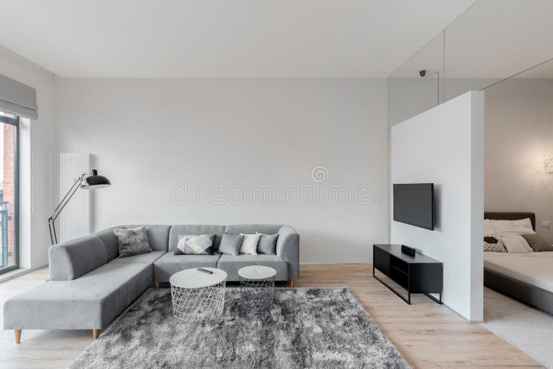 Salotto spazioso bianco e grigio immagine stock