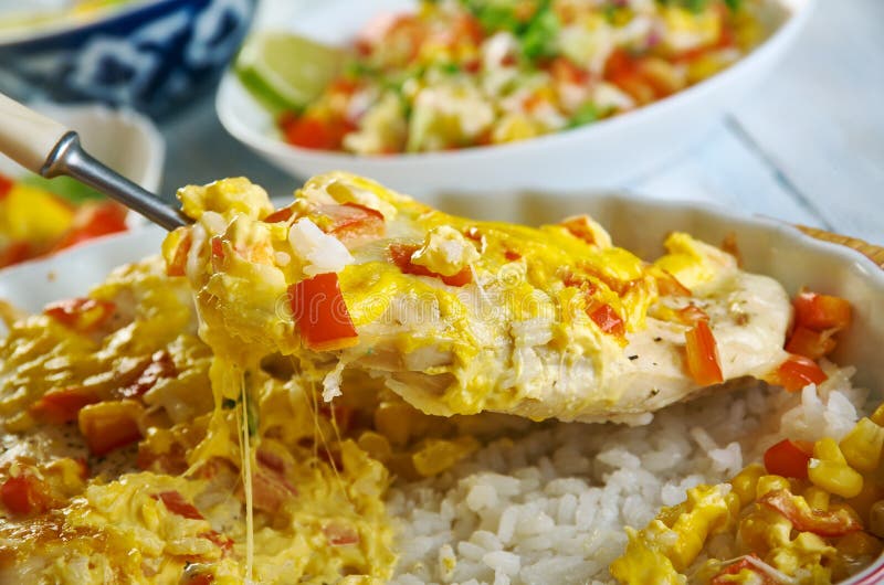 Salsa Chicken Rice Casserole Stock Photo Image of cheese, exotic