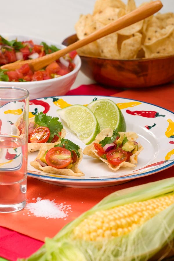 Salsa and chips stock photo. Image of salsa, gourmet, snack 5889324