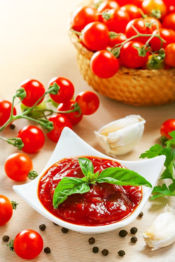 Salsa di pomodori rossa fotografia stock Salsa di pomodori rossa fotografia stock