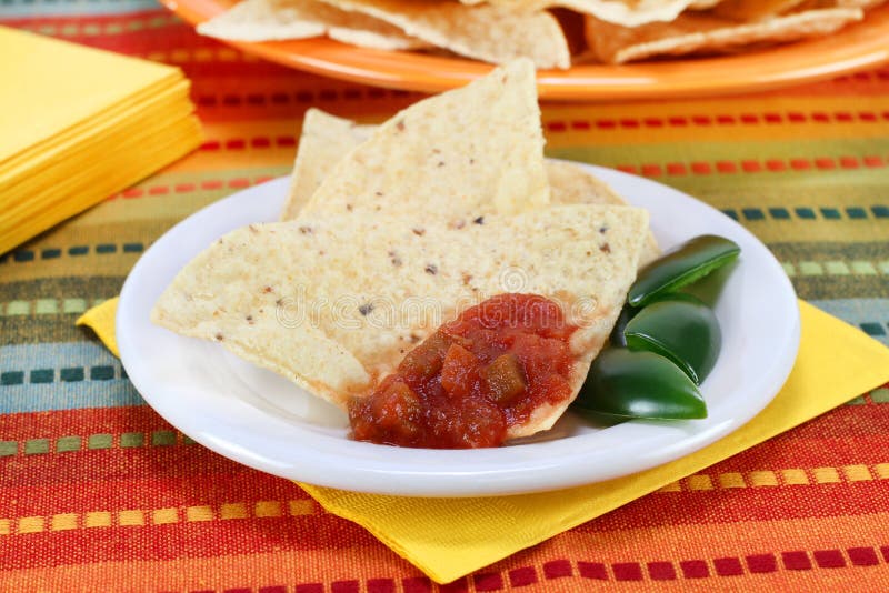Salsa on Flour Tortillas stock image. Image of view, napkins 19063905