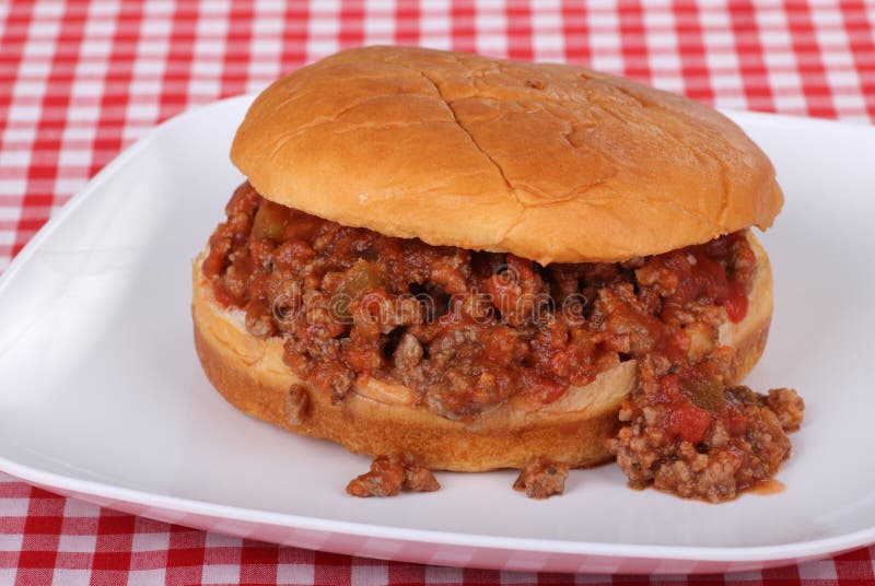 Salsa Sloppy Joe