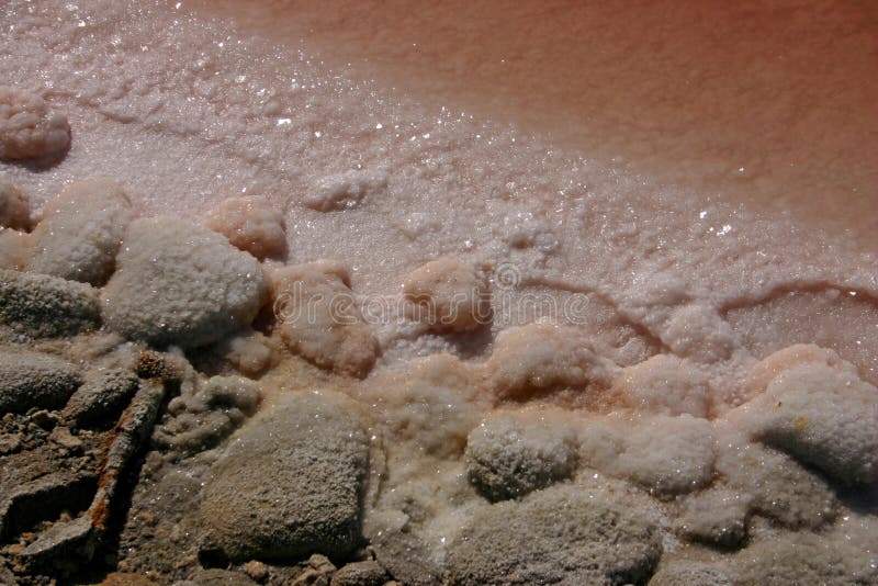 Salt area