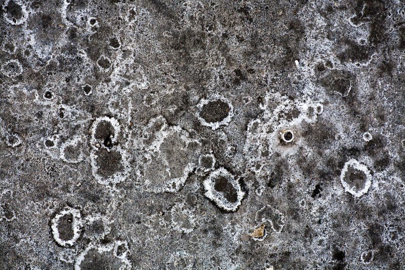 Salt Asphalt Texture stock image