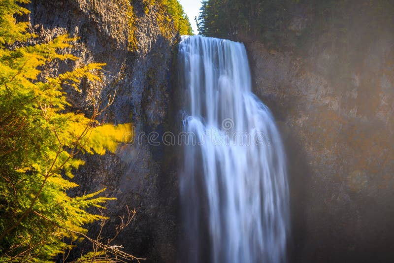 Salt Creek Falls, Willamette National Forest, Oregon Stock Photo