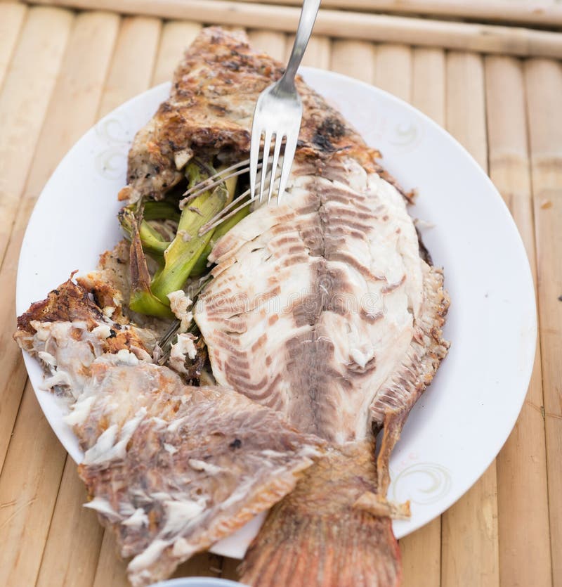 Salt Crusted Grilled Fish stock image. Image of health 73283115