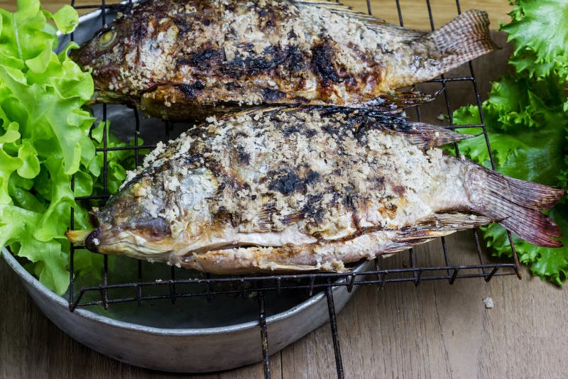 Salt Crusted Grilled Nile Tilapia Fish Stock Image Image of food