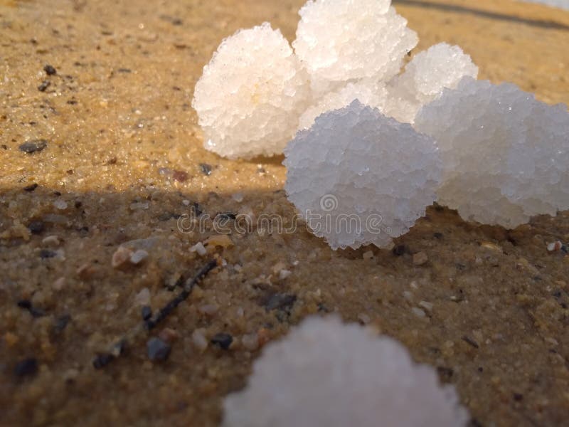 Salt balls stock image. Image of beach, salt, dead, balls 122550187