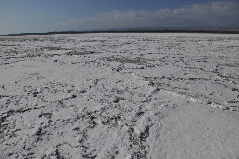 Salt dry and cracked lake Akrotiri in Cyprus stock photo